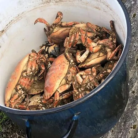 Moderne Rorbu Helt I Sjokanten * Hauge (Hvaler)