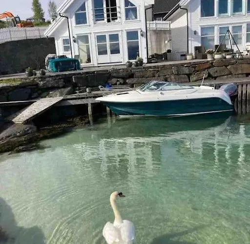 Moderne Rorbu Helt I Sjøkanten