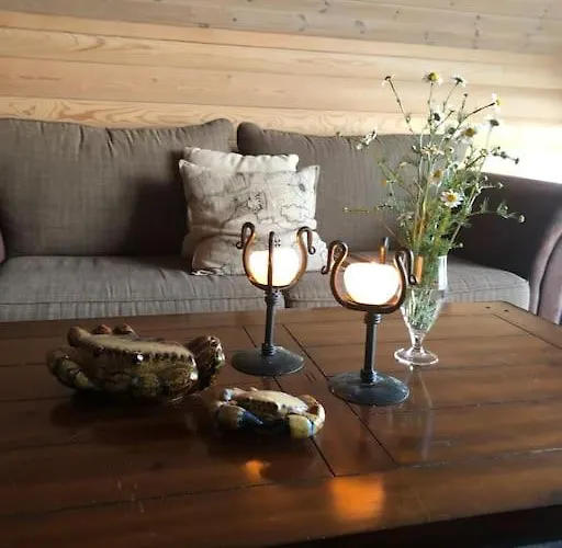 Moderne Rorbu Helt I Sjøkanten *