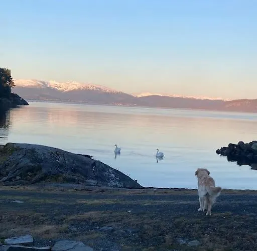 Moderne Rorbu Helt I Sjøkanten Hauge (Vestland)