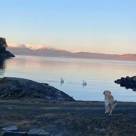 Moderne Rorbu Helt I Sjokanten Hauge (Vestland)
